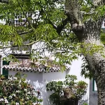 Casa - Turismo De Habitacao