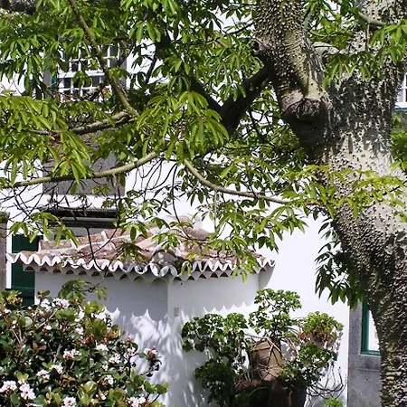 Casa - Turismo De Habitacao