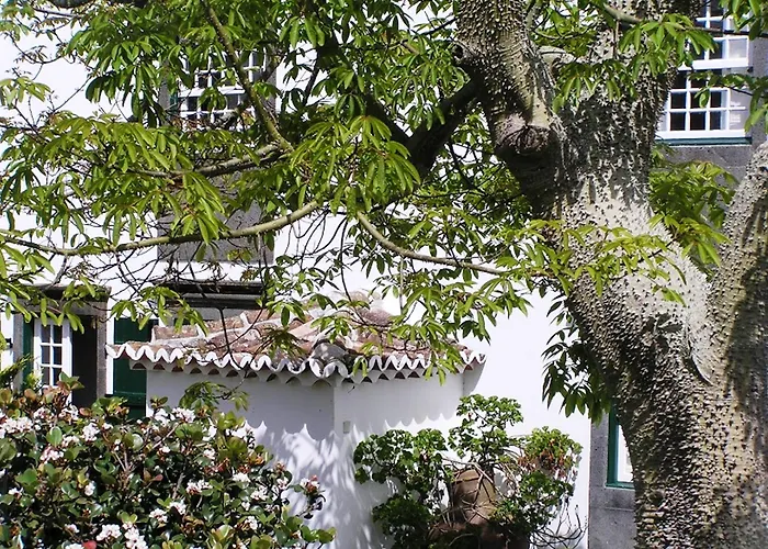 Casa - Turismo De Habitacao