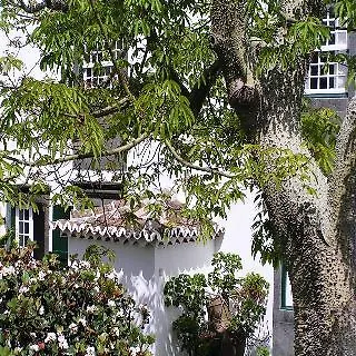 Casa - Turismo De Habitacao 3*